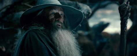 Warner Bros. Pictures IAN MCKELLEN as Gandalf in New Line Cinema’s and MGM's fantasy adventure “THE HOBBIT: THE DESOLATION OF SMAUG,” a Warner Bros. Pictures release.